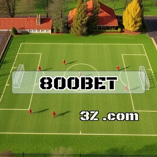 A Importância da Security no 800 jogo bet para Usuários